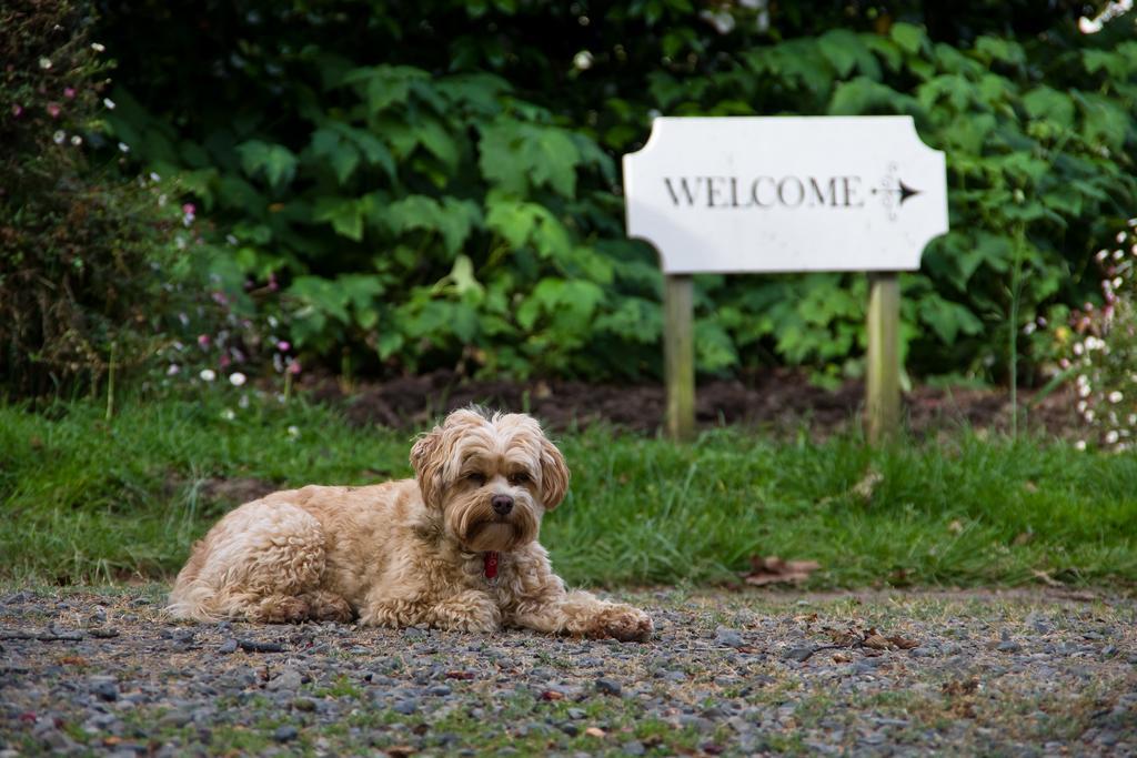 Отель Ugbrooke Country Estate Lower Dashwood Экстерьер фото